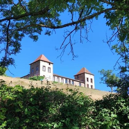 Chateau De Gorze Germolles-sur-Grosne エクステリア 写真