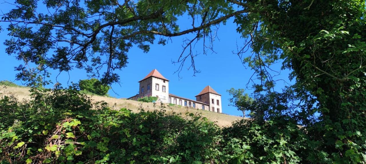 Chateau De Gorze Germolles-sur-Grosne エクステリア 写真